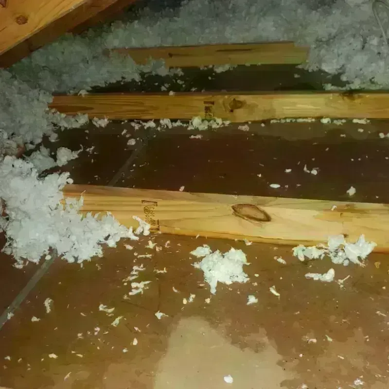 Attic Water Damage in Gardner, MA